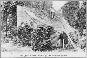Ephraim Bull's house original public domain